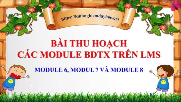 Bai Thu Hoach Module 6