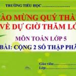 Cong Hai So Thap Phan
