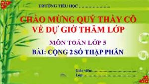 Cong Hai So Thap Phan