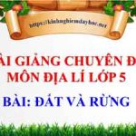 Bài giảng Đất và rừng. Địa lý lớp 5 tuần 6