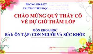 On Tap Con Nguoi