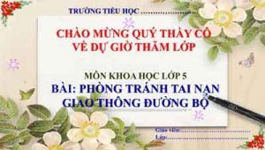 Phong Tranh Tai Nan