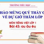 Bài giảng au âu êu, Tiếng Việt 1 tuần 9 sách Kết Nối