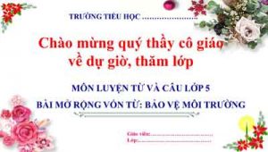 Bao Ve Moi Truong