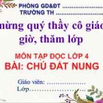 Chu Dat Nung