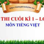 Đề thi cuối kì 1 lớp 1 môn Tiếng Việt. Năm học 2022 – 2023
