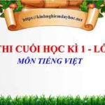 Đề thi học kì 1 môn Tiếng Việt lớp 2. Năm học 2022 – 2023