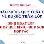 Hoa Binh Huu Nghi Hop Tac