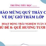 Shl Chu De Que Huong Tuoi D