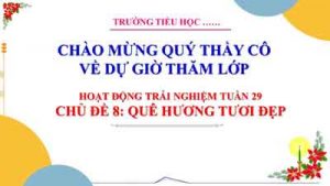 Shl Chu De Que Huong Tuoi D