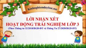 Loi Nhan Xet Hdtn 3