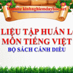 Tài liệu tập huấn lớp 4 môn Tiếng Việt Cánh diều