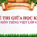Đề thi giữa học kì I môn Tiếng Việt lớp 4 năm học 2023 – 2024