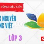 Trạng nguyên Tiếng Việt lớp 3 vòng 4 (Vòng điều kiện)