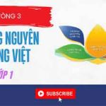 Trạng Nguyên Tiếng Việt lớp 1 vòng 3