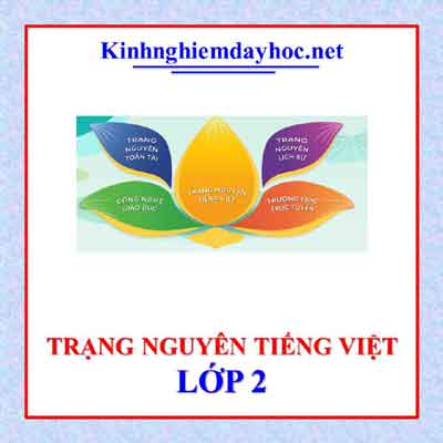Trang Nguyen Lop 2