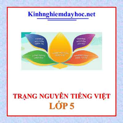 Trang Nguyen Lop 5