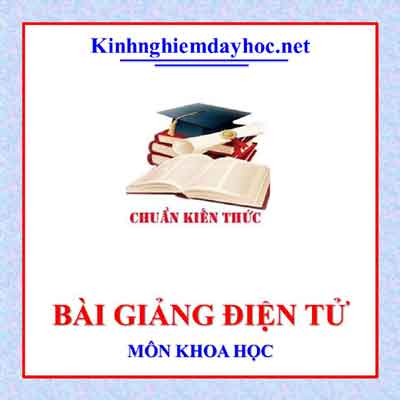 Bai Giang Khoa Hoc 4