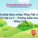 Một số giải pháp tăng cường Tiếng Việt cho trẻ dân tộc thiểu số ở lớp Lá 4 – Trường mầm non Sao Chổi – Đồng Nai