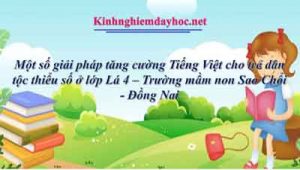 Một số giải pháp tăng cường Tiếng Việt cho trẻ dân tộc thiểu số ở lớp Lá 4 – Trường mầm non Sao Chổi - Đồng Nai