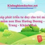 Biện pháp phát triển tư duy cho trẻ mầm non Trường mầm non Hoa Hướng Dương - TP Nha Trang - Khánh Hoà