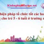 Một số biện pháp tổ chức tốt các hoạt động vận động cho trẻ 5 – 6 tuổi ở trường mầm non