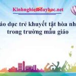 Giáo dục trẻ khuyết tật hòa nhập trong trường mẫu giáo