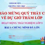 Bai 1 Chung Minh Da Lon