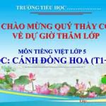 Bài đọc Cánh đồng hoa (T1, 2)