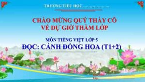 Doc Canh Dong Hoa