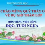 Bài giảng Tuổi ngựa