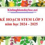 Kế hoạch Stem lớp 3 năm học 2024 – 2025