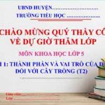 Bài 1 Thành phần và vai trò của đất đối với cây trồng (T2)