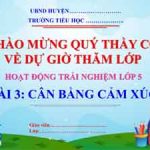 Cân bằng cảm xúc | SHCĐ hoạt động trải nghiệm 5