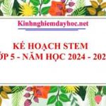 Kế hoạch Stem lớp 5