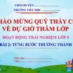 Tung Buoc Truong Thanh