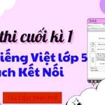 Đề thi môn Tiếng Việt lớp 5 cuối học kì I – Năm học 2024 – 2025